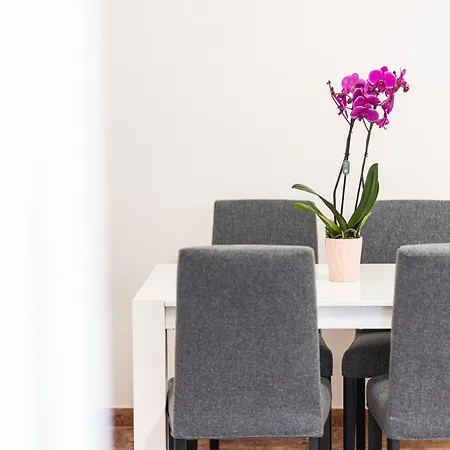 Domus Leo Apartament