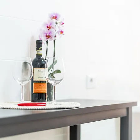 Apartament Domus Leo *